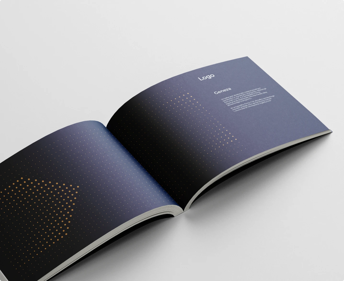 CTK Logistics prezentuje elegancki brandbook z ciemnoniebieską okładką i złotymi akcentami, podkreślającymi nowoczesny i profesjonalny charakter marki.