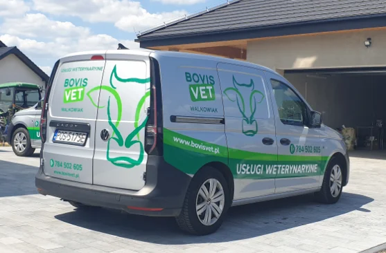 <h5>BOVIS VET</h5><p> - projekt i oklejenie samochodów</p>