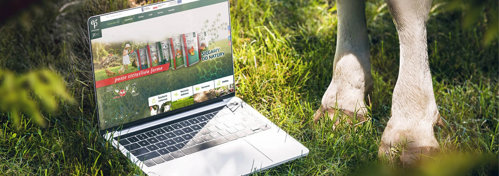 Zdjęcie pokazuje laptop na trawie z witryną Ekoplon, prezentującą pasze dla zwierząt i hasło „Sięgamy do natury”, w tle widoczne nogi zwierzęcia gospodarskiego.