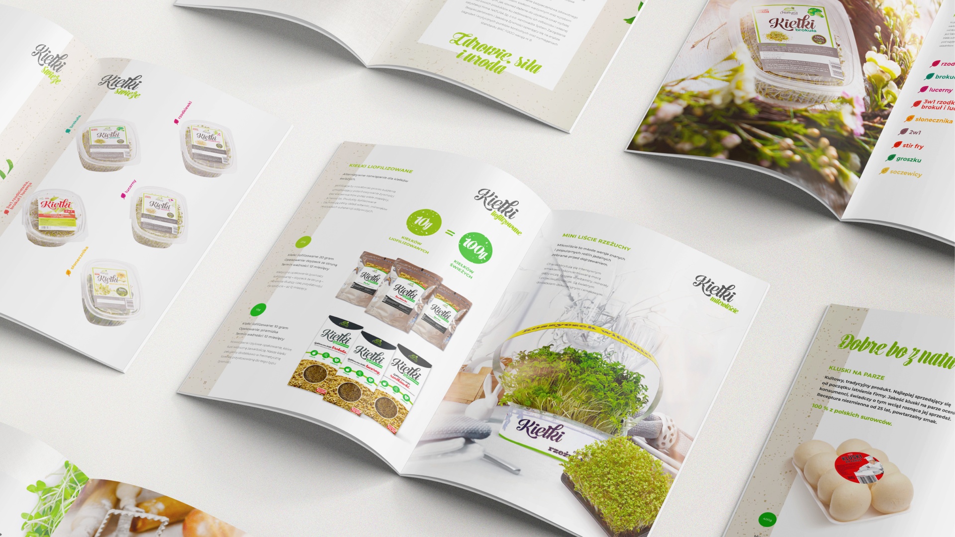 Zdjęcie katalogu Natura Kalisz, prezentującego kiełki i ekologiczne produkty spożywcze. Naturalna estetyka, zielone akcenty i przejrzysty układ treści.