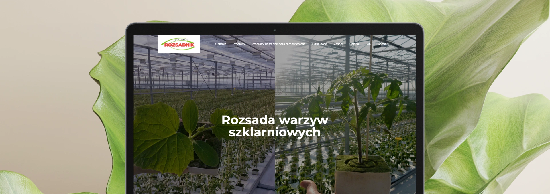Strona internetowa „Rozsadnik” prezentuje ofertę rozsad warzyw gruntowych i szklarniowych. Nowoczesny design, zdjęcia upraw i przejrzyste menu ułatwiają nawigację.