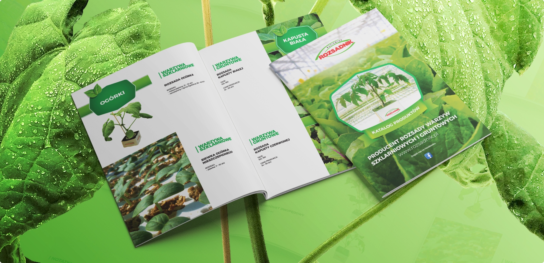 Grafika przedstawia katalog firmy zajmującej się produkcją sadzonek. Dominuje zielona kolorystyka, a strony zawierają zdjęcia roślin, ofertę produktów i informacje techniczne.