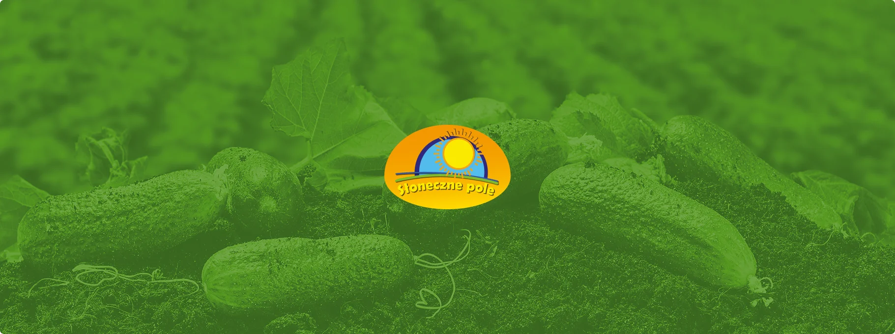 Logo firmy Trazmet Lager Technik na białej elewacji z nowoczesnym, minimalistycznym designem. Czerwone i niebieskie akcenty podkreślają dynamiczny charakter marki.