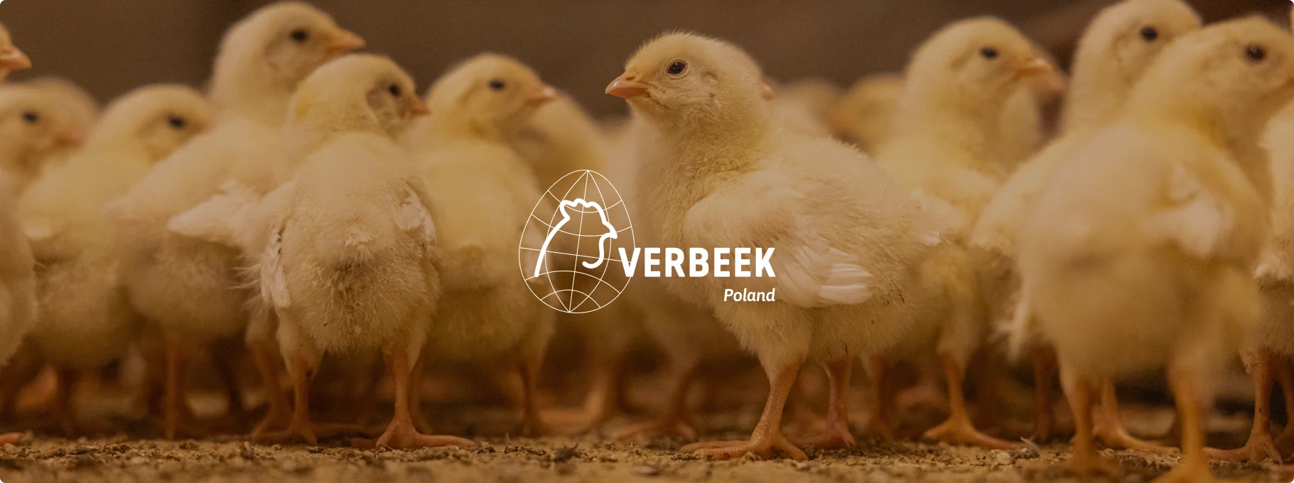 Logo firmy Trazmet Lager Technik na białej elewacji z nowoczesnym, minimalistycznym designem. Czerwone i niebieskie akcenty podkreślają dynamiczny charakter marki.